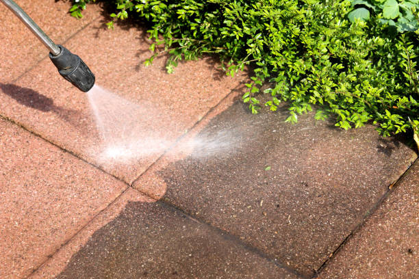 Best Pressure Washing Siding  in Brookston, IN